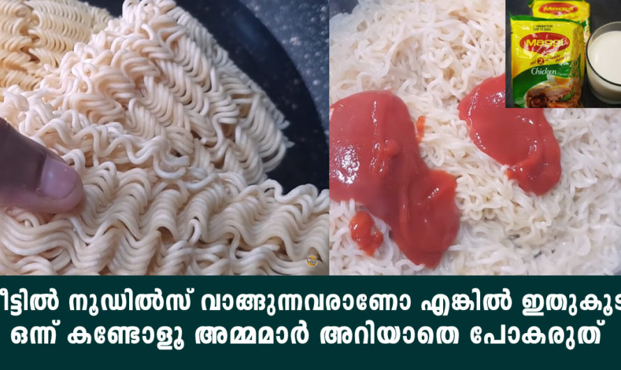 ഇടയ്ക്കെങ്കിലും നൂഡിൽസ് കഴിക്കുന്നവർ ആണെങ്കിൽ ഇതിനെക്കുറിച്ച് അറിഞ്ഞിരിക്കണം