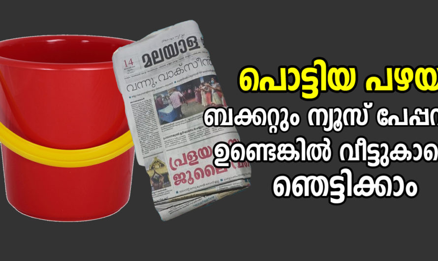 ഇനി പഴയ ബക്കറ്റുകൾ വെറുതെ കളയല്ലേ ഇങ്ങനെ ഒന്ന് ചെയ്തു നോക്കു ഇത്രയും കാലം അറിഞ്ഞില്ലല്ലോ