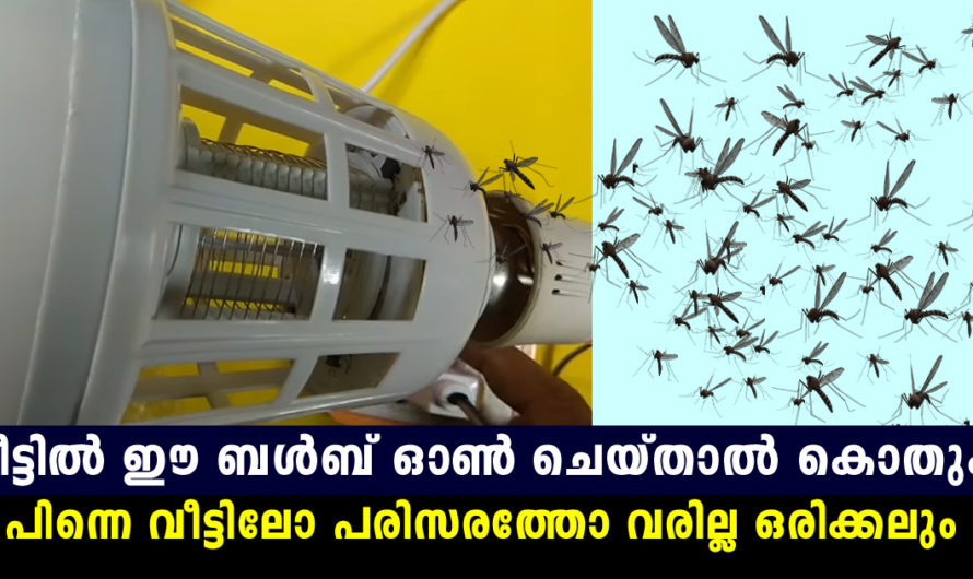 ഇനി ബൾബ് ഓണാക്കിയാൽ കൊതുക് നിങ്ങളുടെ പരിസരത്ത് നിന്നും പോകും പിന്നെ വീട്ടിൽ കയറില്ല