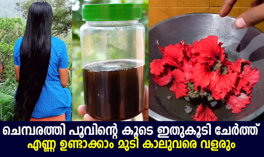 മുടി വളരാനുള്ള ആയുർവേദ ഓയിൽ നമുക്കും ഉണ്ടാക്കാം വീട്ടിൽ തന്നെ