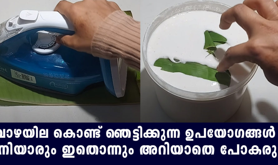 വാഴയില കൊണ്ട് ഒരിക്കലും പ്രതീക്ഷിക്കാത്ത ഒരു കാര്യം ചെയ്യാം ഇത്രയും നാൾ അറിഞ്ഞില്ല