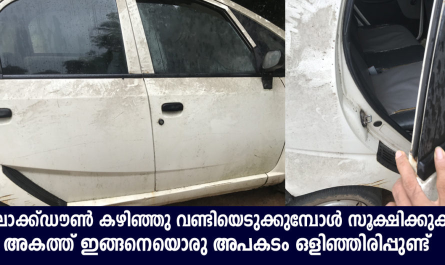 റോഡുകൾ തുറന്നു കാർ യാത്ര പോകാൻ എടുത്തപ്പോൾ കണ്ട കാഴ്ച നിങ്ങളും അറിയണം