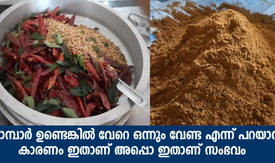 ഇങ്ങനെയാണ് യഥാർത്ഥ സാമ്പാർ പൊടി ഉണ്ടാക്കുന്നത് പലരും തേടി നടന്നത് ഇതാണ്