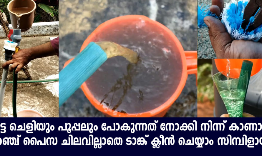 അഞ്ച് പൈസ ചിലവില്ലാതെ വീട്ടിലെ ടാങ്ക് വൃത്തിയാക്കാം കട്ട ചെളി പോകുന്നത് കണ്ടു നിൽക്കാം