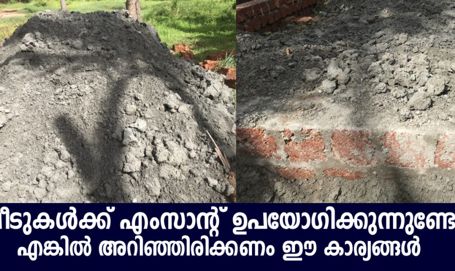 പുതിയ വീടുകൾക്ക് എം സാന്റാണോ ഉപയോഗിക്കുന്നത് എങ്കിൽ അറിഞ്ഞിരിക്കണം ഈ വ്യത്യാസം