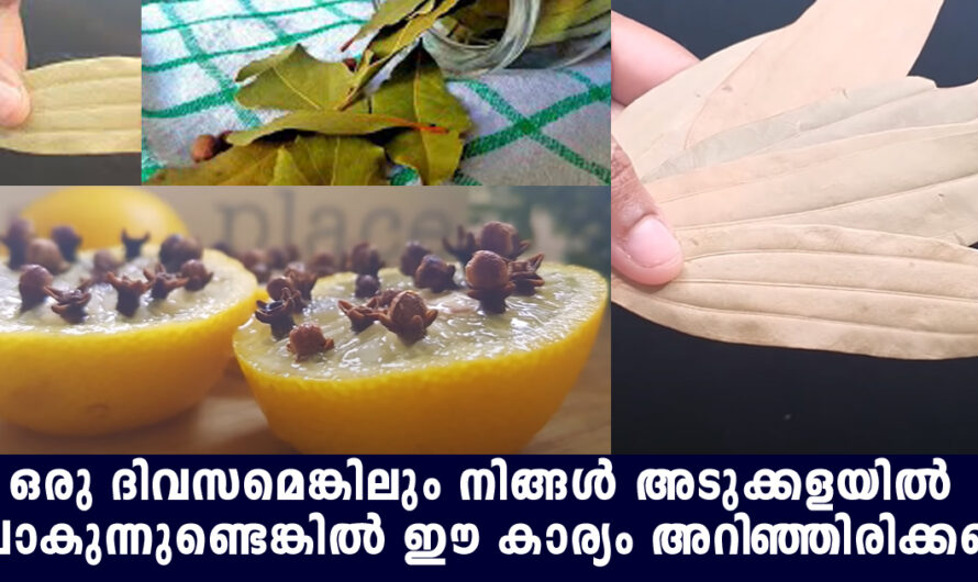 നമ്മുടെ അടുക്കളയിൽ തീർച്ചയായും ചെയ്തിരിക്കേണ്ട ഈ കാര്യങ്ങൾ അറിയാതെ പോകല്ലേ