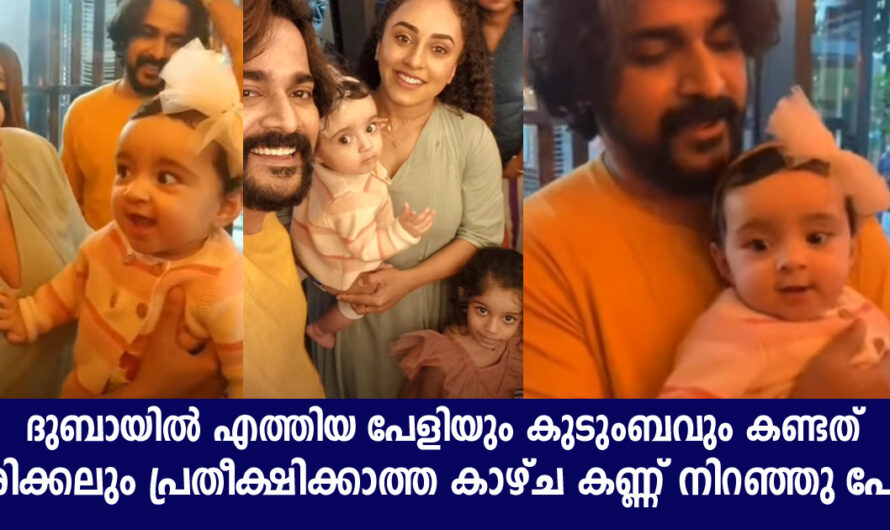 ദുബായിൽ എത്തിയ പേർളി മാണിയും കുടുംബത്തെയും കാത്തിരുന്നത് ഇതാണ് ഒരിക്കലും മറക്കാൻ കഴിയില്ല