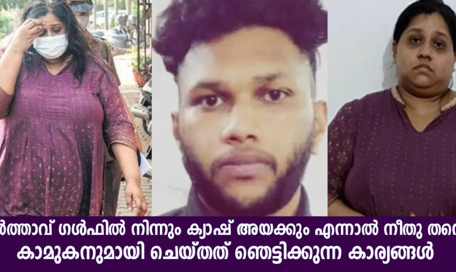 ഭർത്താവ് ഗൾഫിൽ നിന്നും എല്ലാ മാസവും ക്യാഷ് അയച്ചുകൊടുക്കും എന്നാൽ നീതു അത് മറ്റൊരാളുമായി ചെയ്യുന്നത് ഇങ്ങനെ